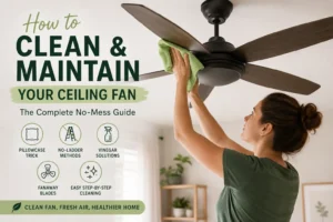 How to Clean and Maintain Your Ceiling Fan